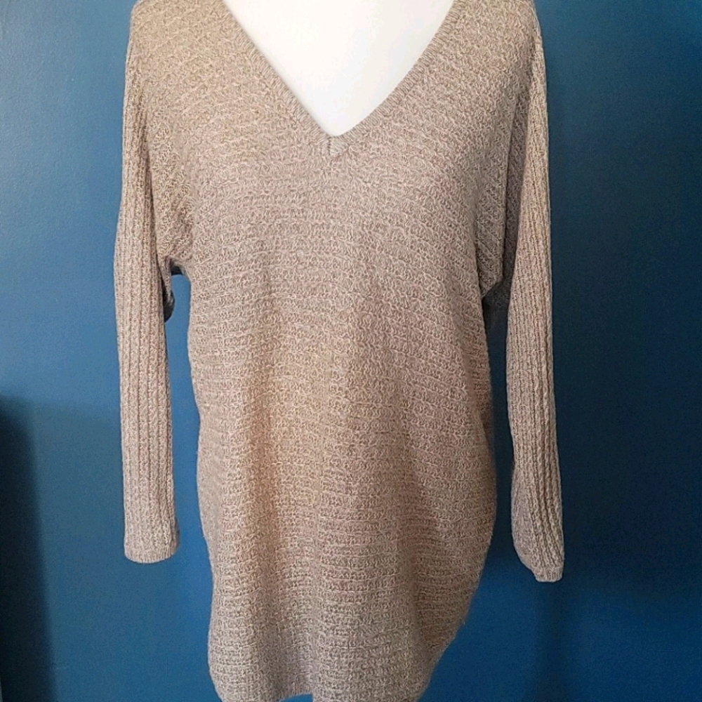 Oatmeal v-neck sweater